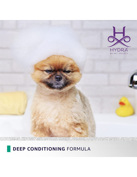 Hydra Groomers Flash Thermo Active Deep conditioner