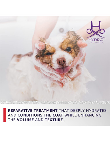 Hydra Groomers Intense Repair Volumizing mask