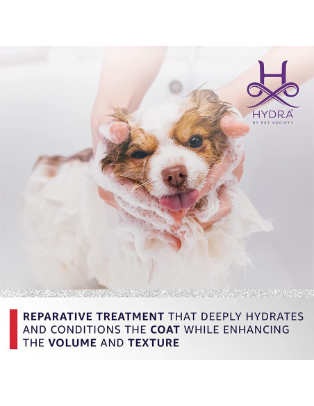 Hydra Groomers Intense Repair Volumizing mask