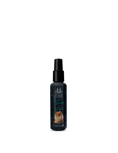 Hydra Collection Luiz Renato Cologne